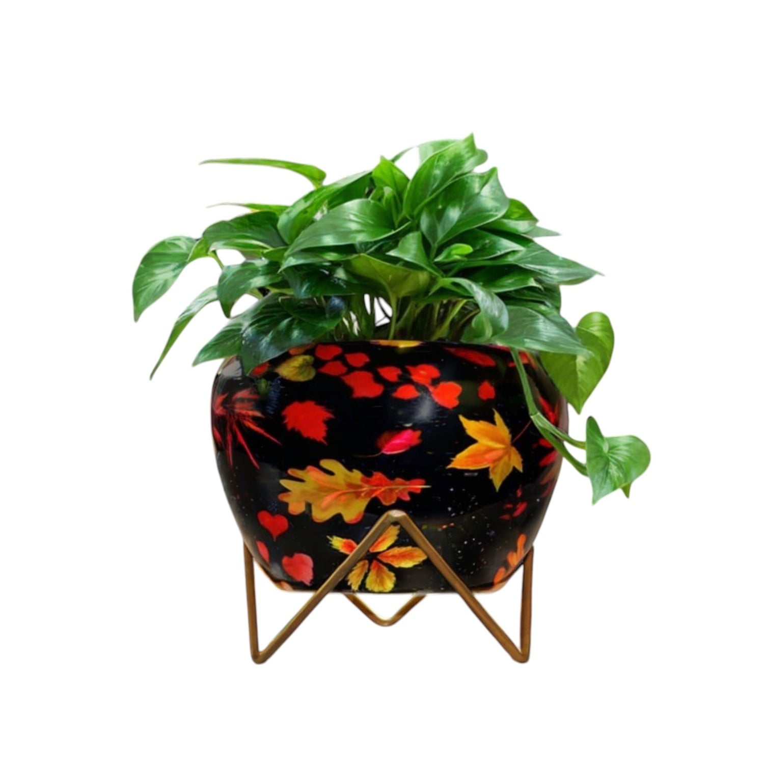 Vibrant 5" Orchid Pot - Yellow Leaf Print Design with Stand