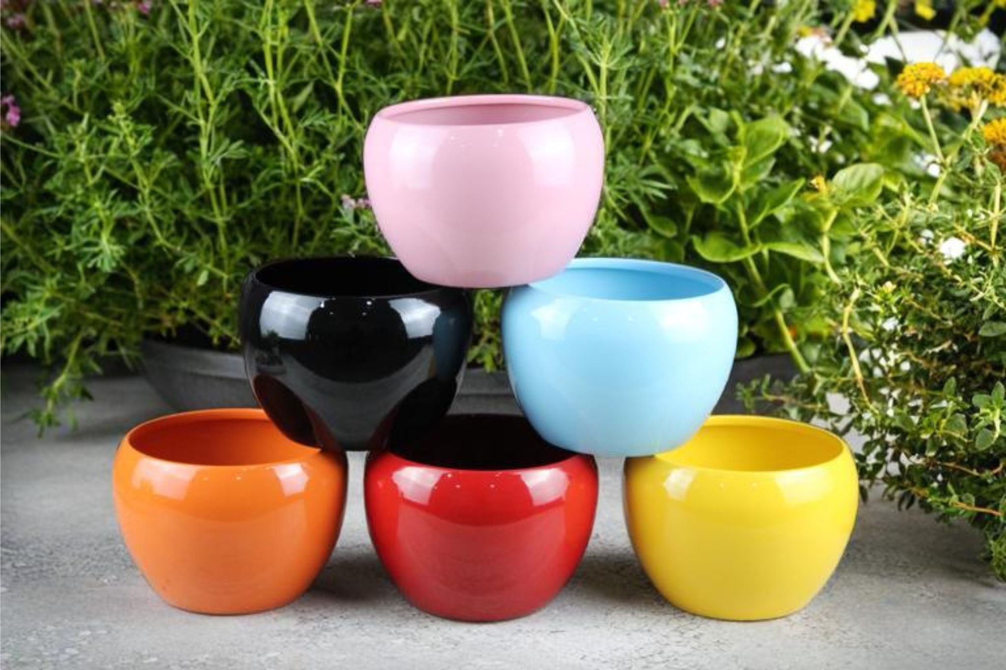 Beautiful 5" Multicolor Orchid Pots - Set of 6