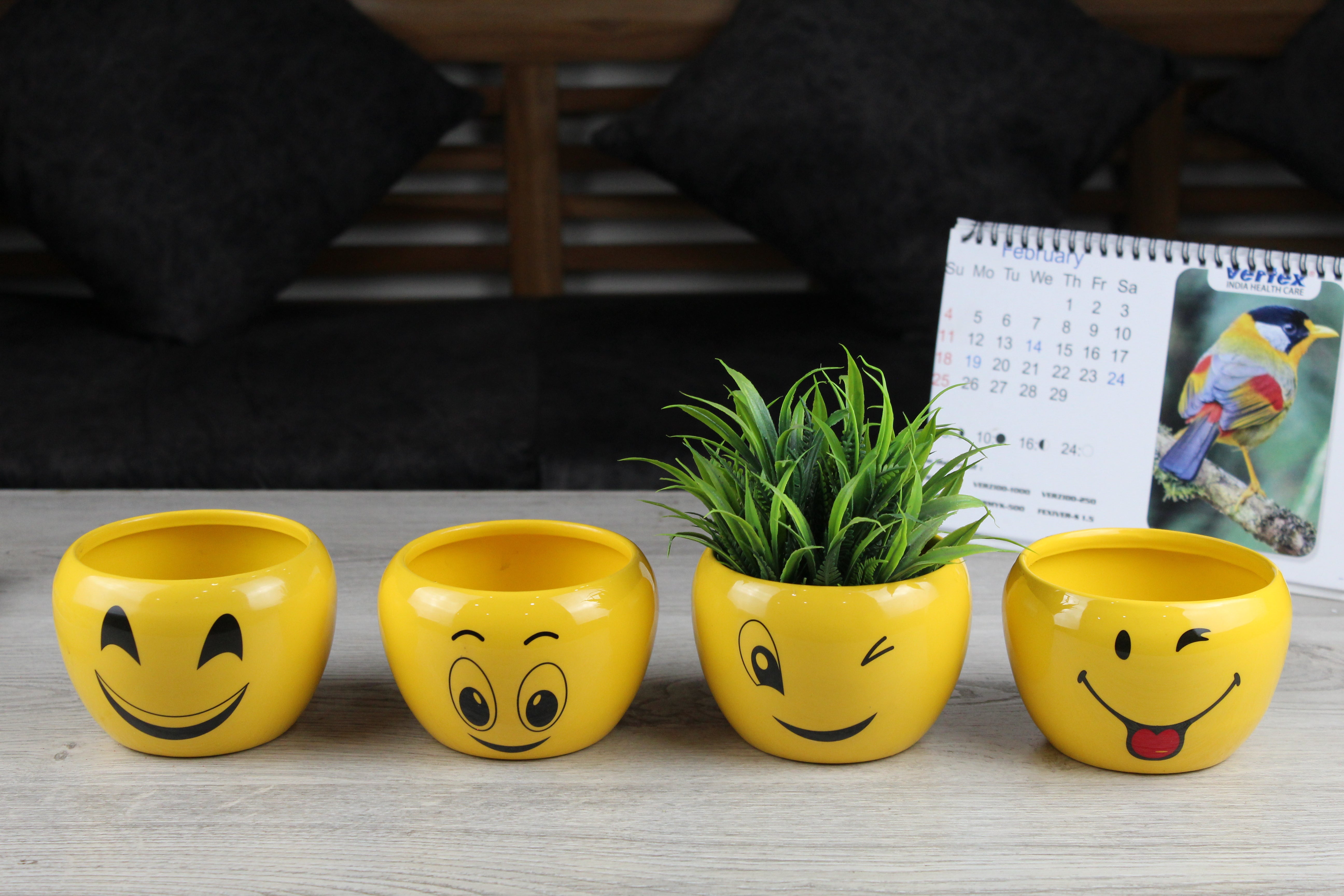 Attractive Orchid Pots with Emoji Print - Pack of 4