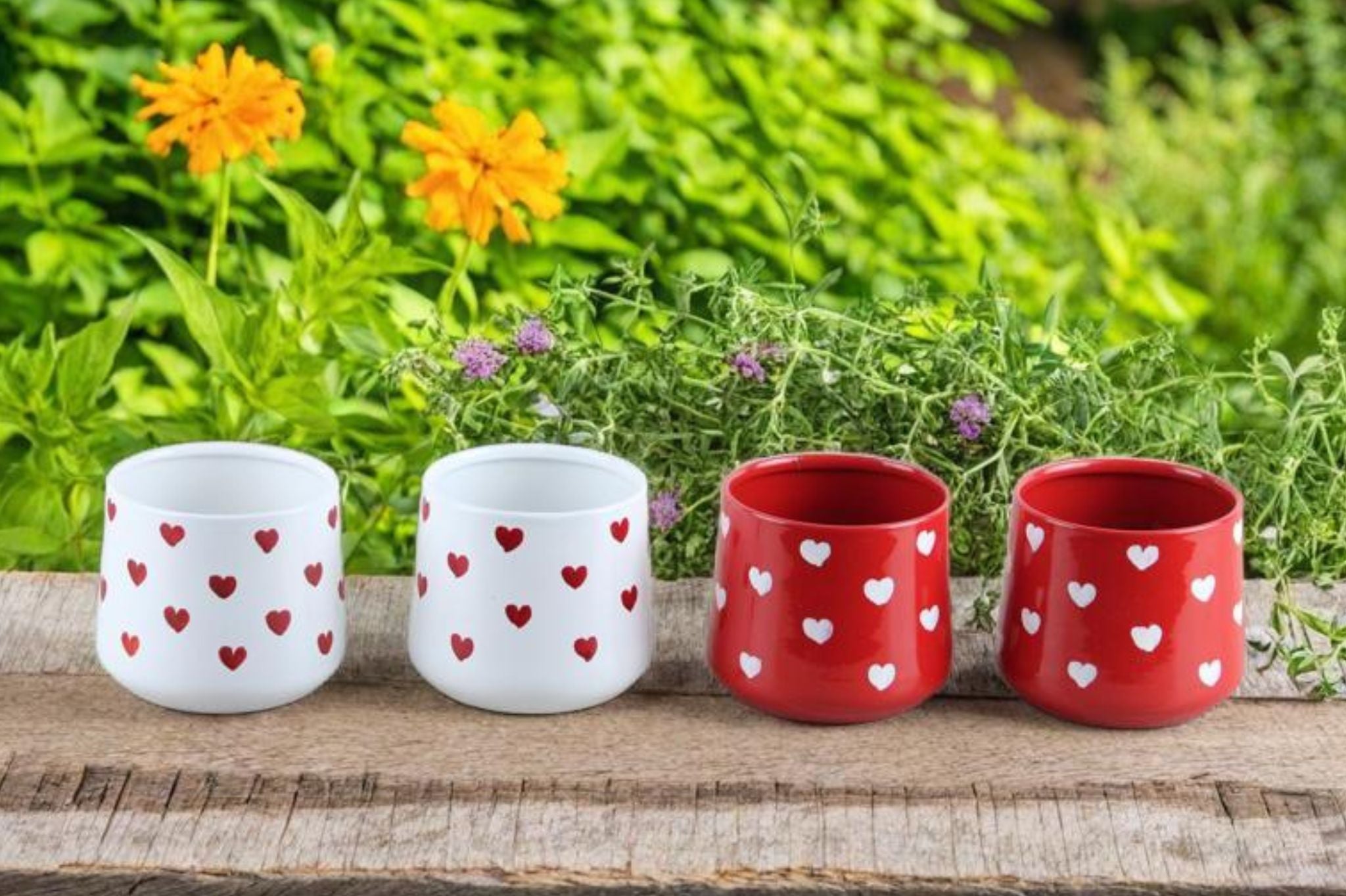 Beautiful Small Glass Pots - Red & White Hand-Painted Hearts, Set of 4