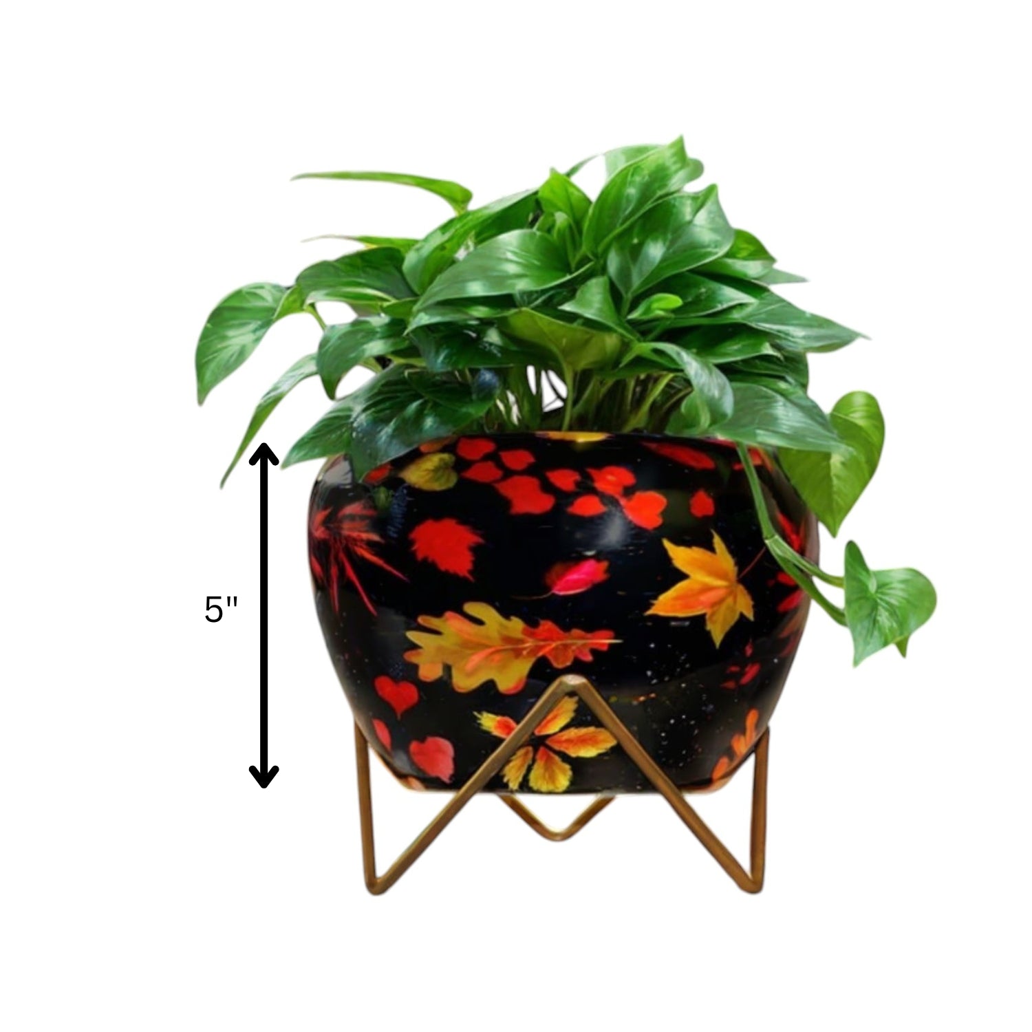 Vibrant 5" Orchid Pot - Yellow Leaf Print Design with Stand