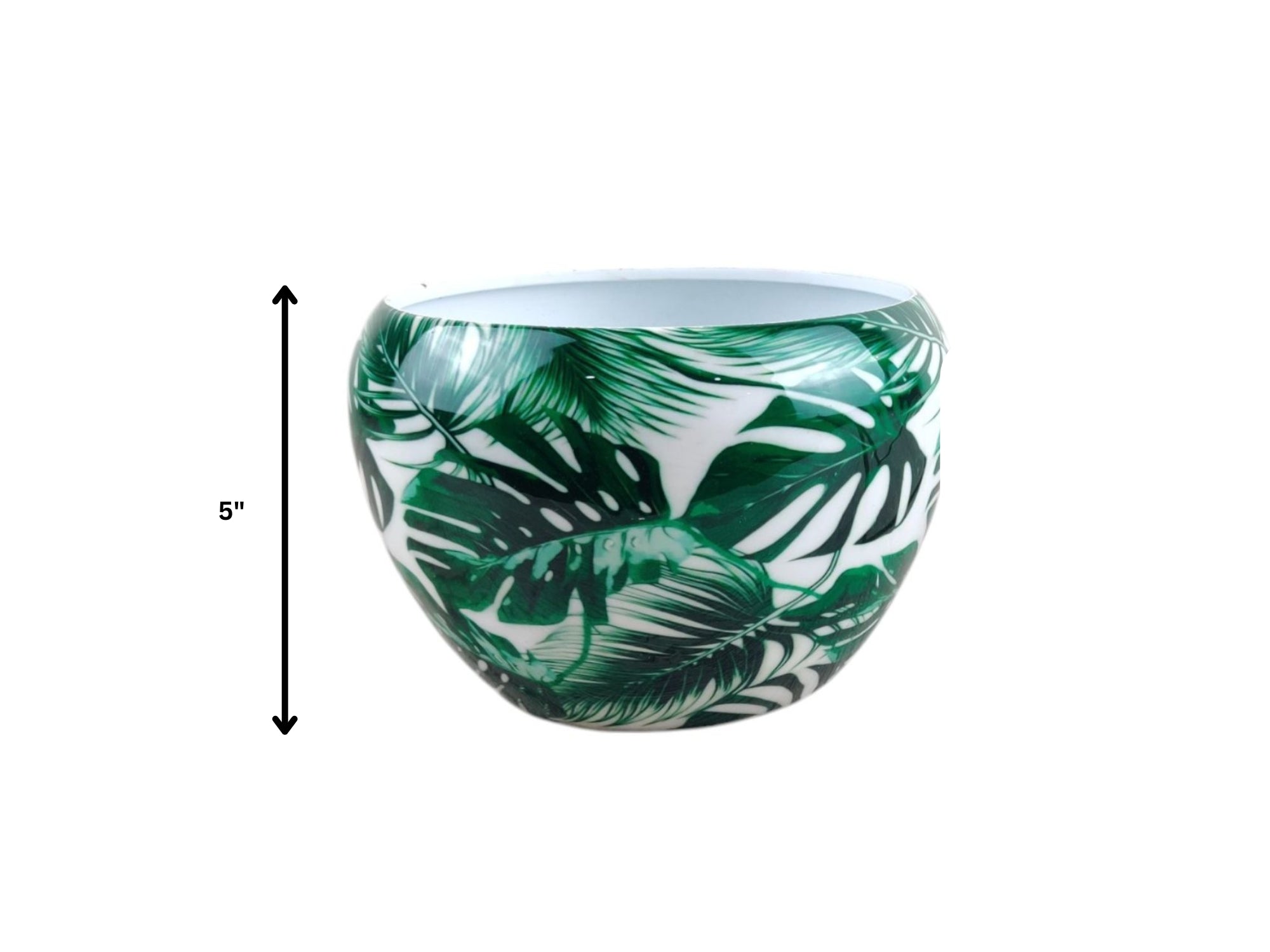 Premium 5" Orchid Pot Collection - Elegant Designs with Stand