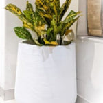 Contemporary Elegance Ceramic Planter - Planter at Nestern