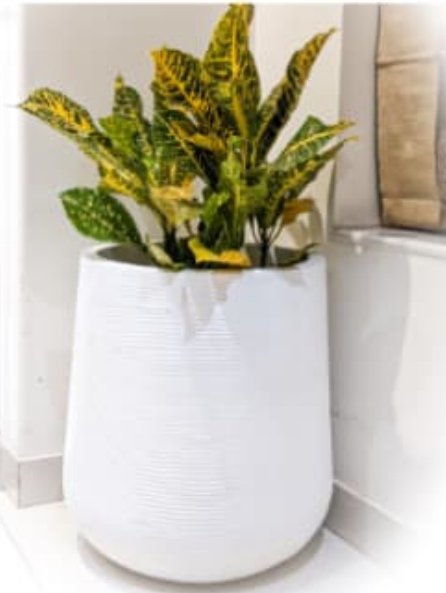 Contemporary Elegance Ceramic Planter - Planter at Nestern