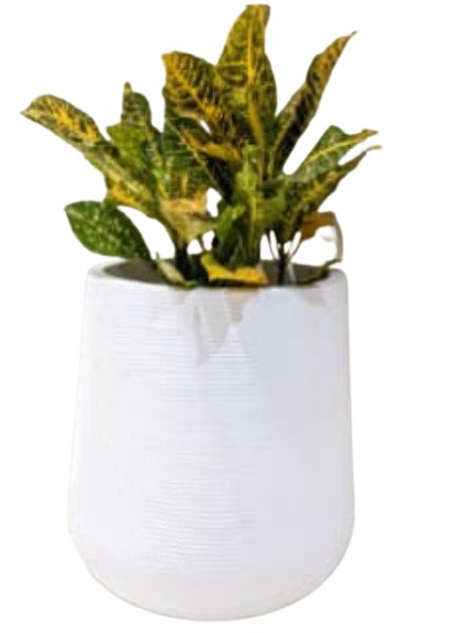 Contemporary Elegance Ceramic Planter - Planter at Nestern