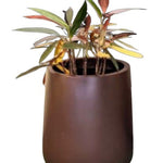 Contemporary Elegance Ceramic Planter - Planter at Nestern