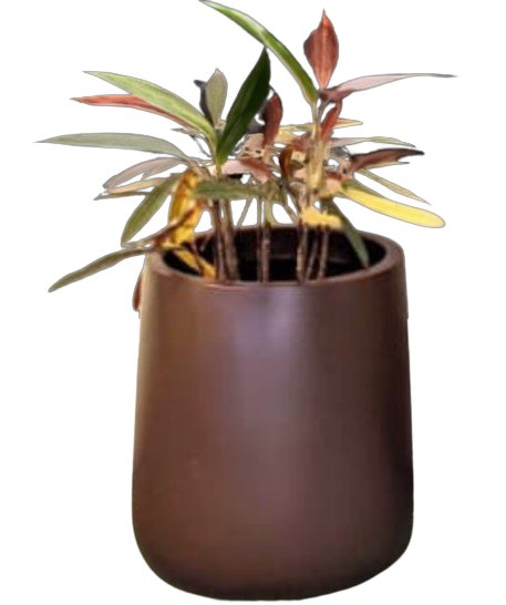 Contemporary Elegance Ceramic Planter - Planter at Nestern