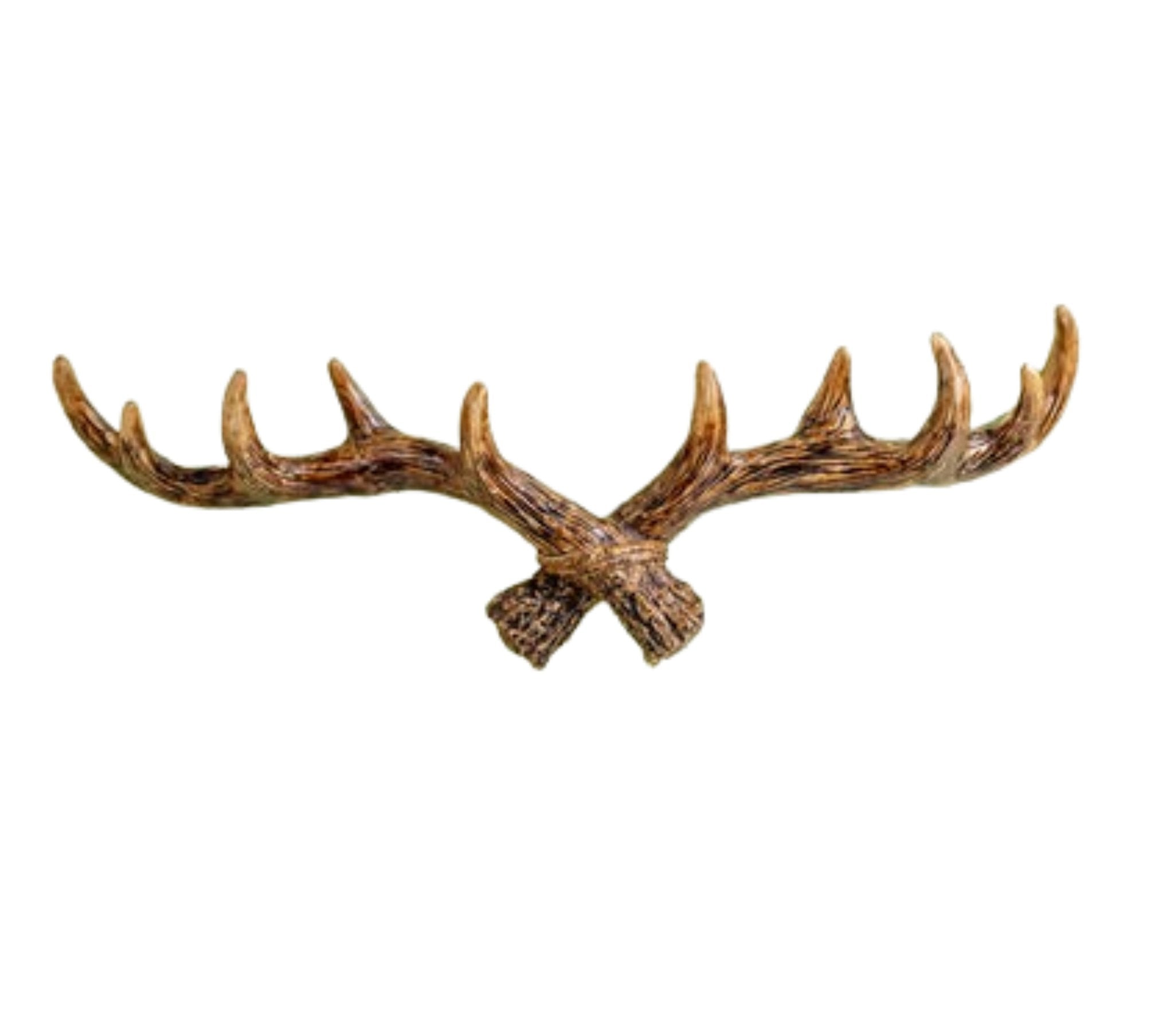 Deer Horn Multipurpose Holder - Wall Art at Nestern