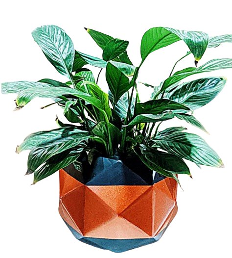 Modern Geometric Orange and Black Planter - Planter at Nestern