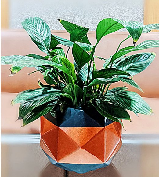 Modern Geometric Orange and Black Planter - Planter at Nestern